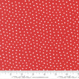 Funny Valentine: Tiny Hearts in Red