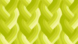Echo Braid in Acid Green