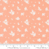 Pastel Prairie: Bloomers in Jovial