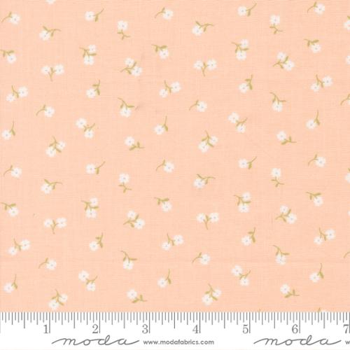 Pastel Prairie: Small Floral in Petal