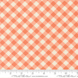 Pastel Prairie: Gingham in Coral