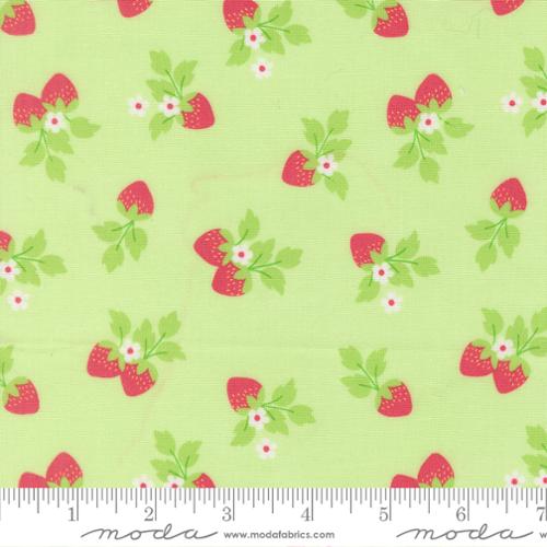 Fruit Salad: Strawberries in Melon
