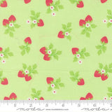 Fruit Salad: Strawberries in Melon
