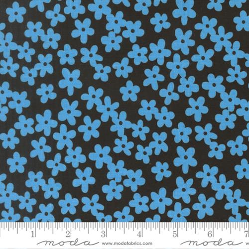 True to Hue: Petal in Blue