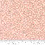 True to Hue: Petal Power in Blush