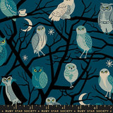 Freaky Familiars: Novelty Owls in Galaxy