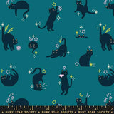 Freaky Familiars: Catwalk in Storytime