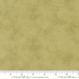 3 Sisters Solids: Sage