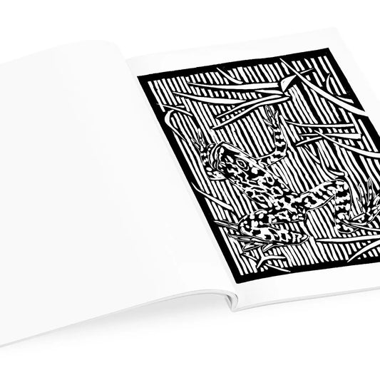 Molly Hashimoto Coloring Book