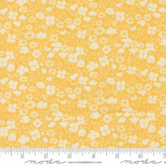 Cannon Beach: Poppy Field in Sunshine