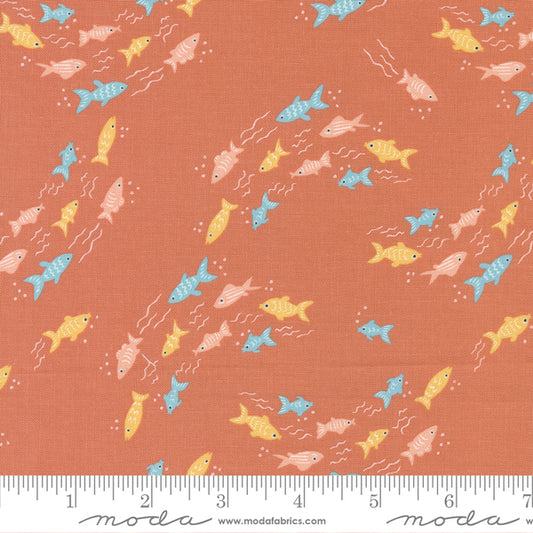 Noah's Ark: Fishy Fish in Coral
