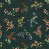 Gracie: Amelia in Evergreen