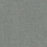 Brussels Washer Yarn Dye: Graphite