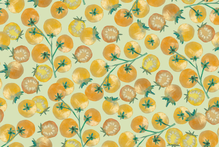 Vegetable Patch - Vine Tomatoes in Yellow