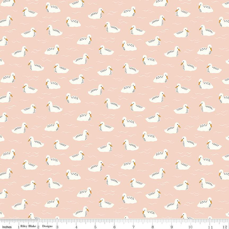 Little Swan: Baby Swans in Blush