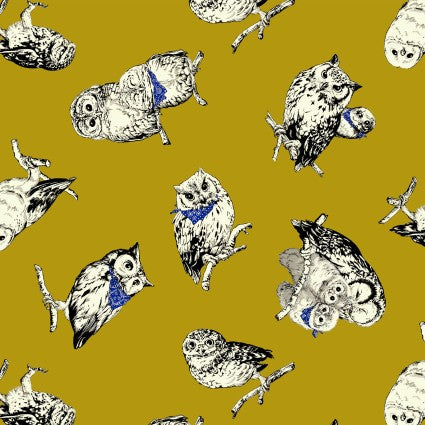 Cats and Owls: Owls in Bandanas in Mustard