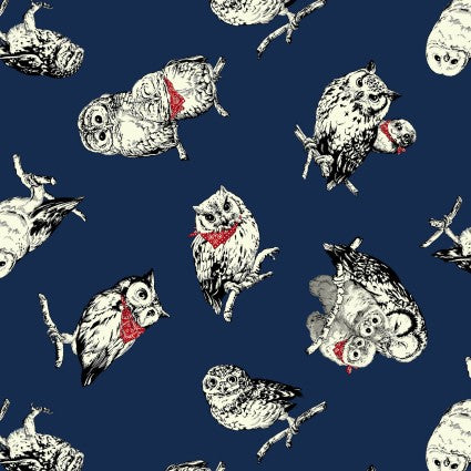 Cats and Owls: Owls in Bandanas in Navy