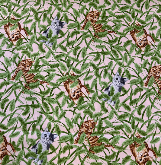 Plant Cats Canvas