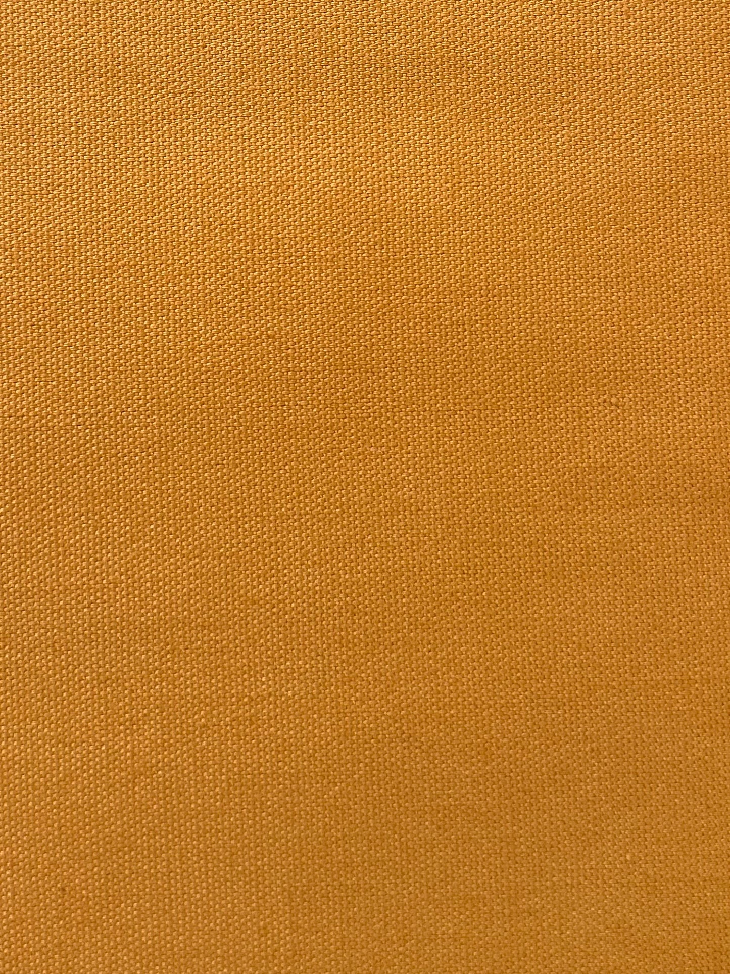 Dyed Cotton Oxford in Honey