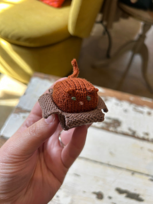 Intermediate Knitting: Cat in a Box w/ Isabel