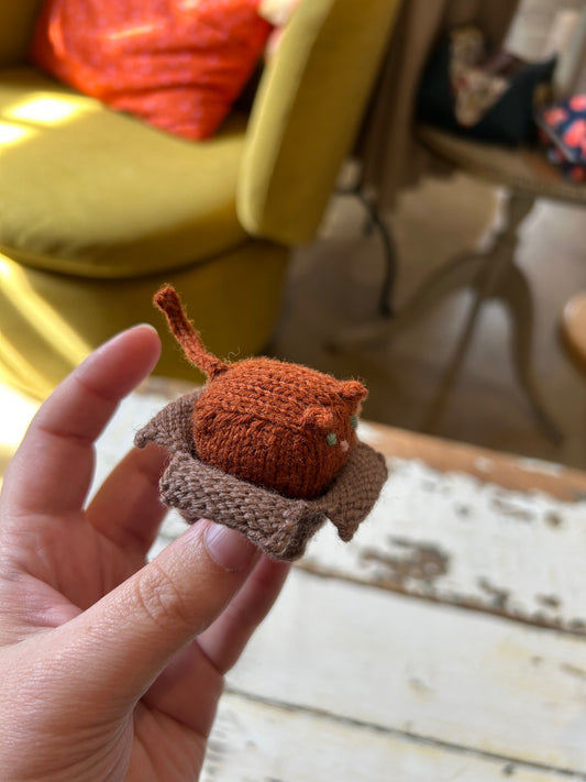 Intermediate Knitting: Cat in a Box w/ Isabel