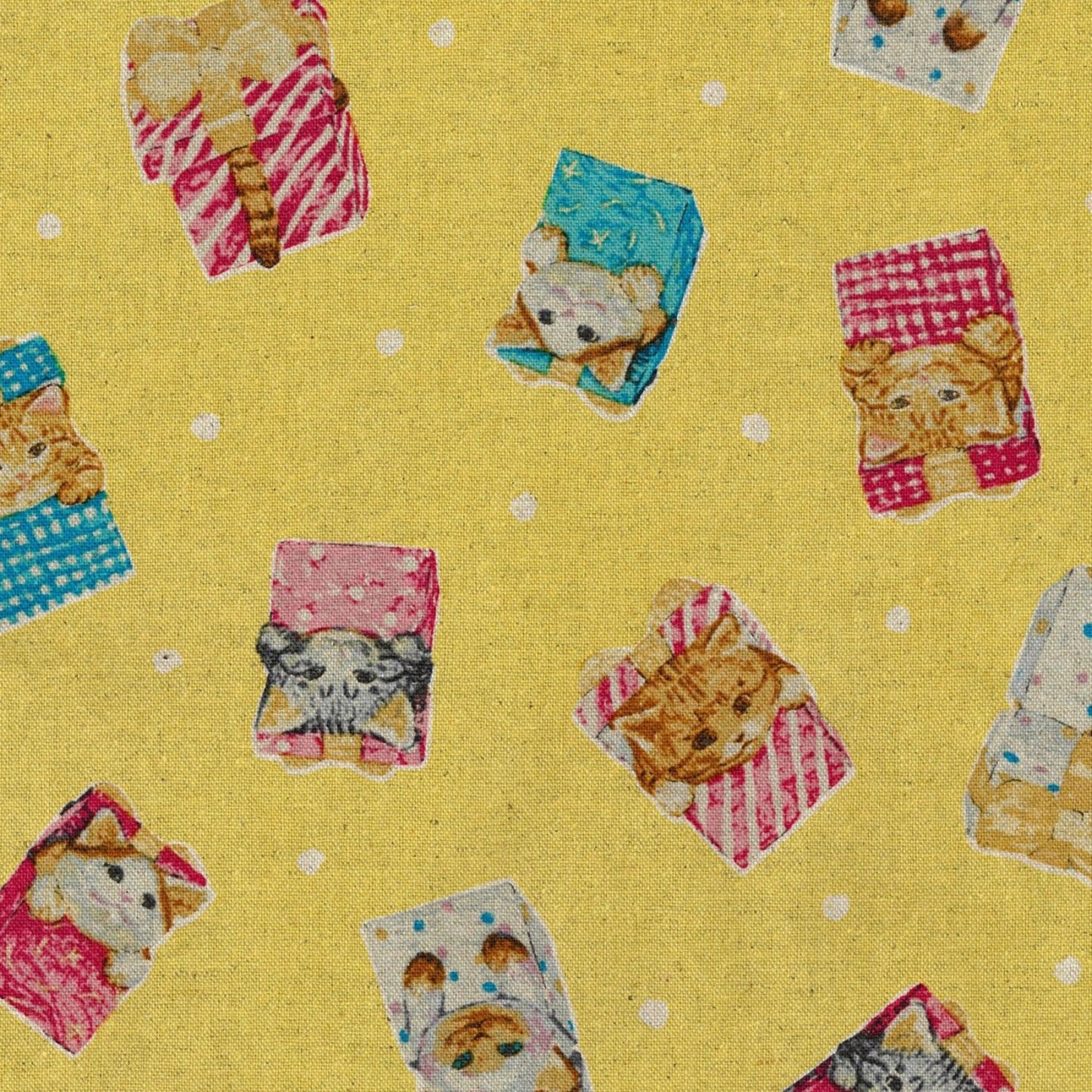 Hello from Presents Canvas