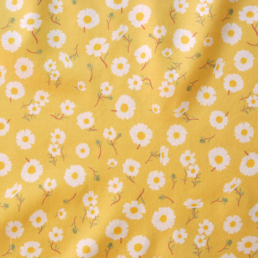 Flourish Lawn: Daisies Sunshine