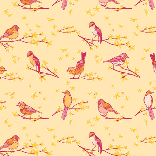 Marigold: The Dawn Chorus in Sunset