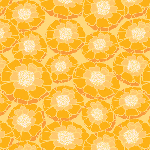 Marigold: Humble Beauty