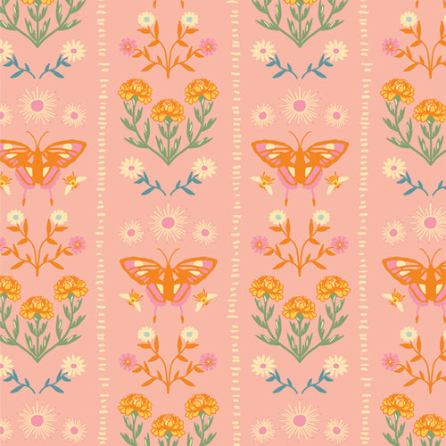 Marigold: Annual Migration