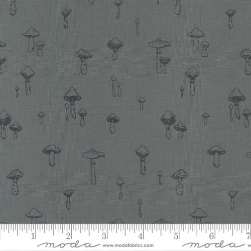 Autumn Forest: Mushroom Magic in Mirage