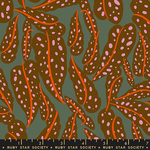 Calathea: Overlapping Leaves in Cocoa