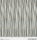 Story Time: Painted Stripe
