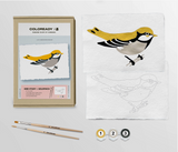 Modern Paint by Numbers Kit: Goldfinch