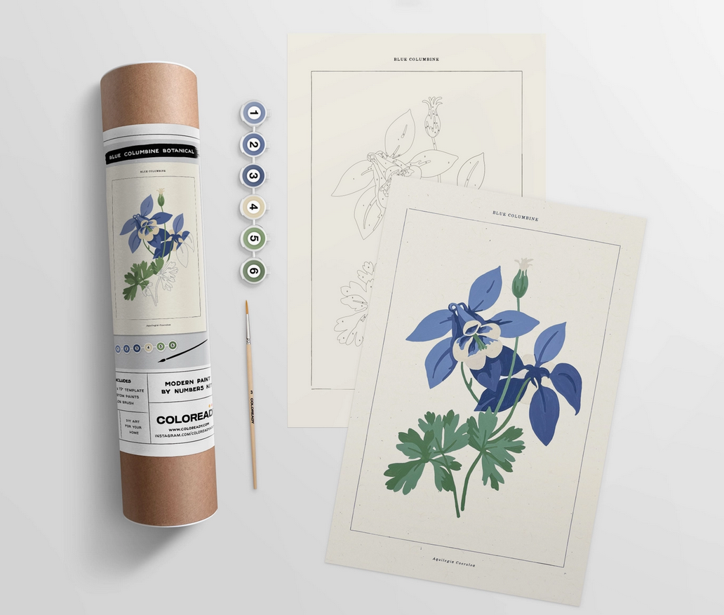 Modern Paint by Numbers Kit: Blue Columbine