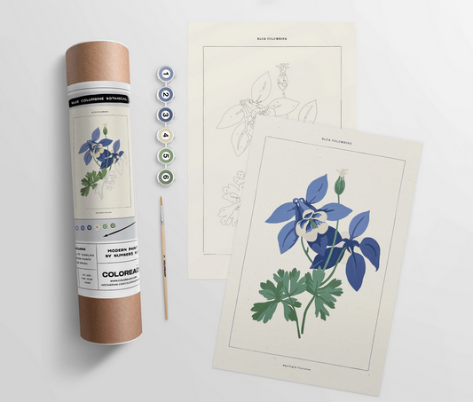 Modern Paint by Numbers Kit: Blue Columbine