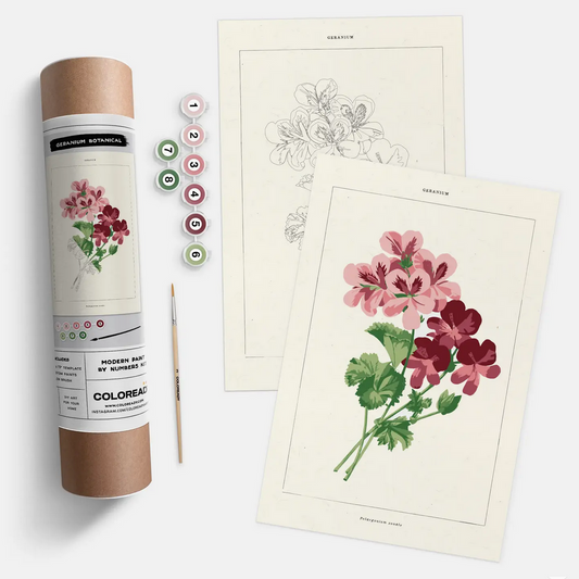 Modern Paint by Numbers Kit: Geranium