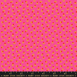 Catnap: Sprout in Playtime