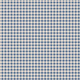 Creating Memories: Gingham in Blue