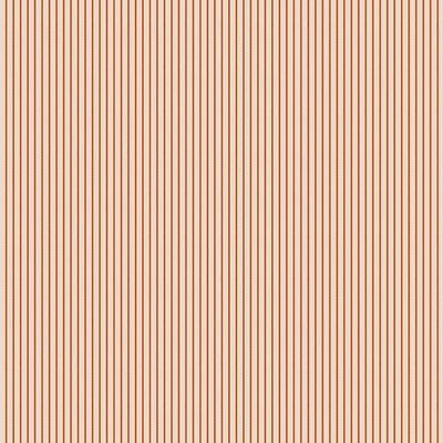 Creating Memories: Tinystripe in Cream