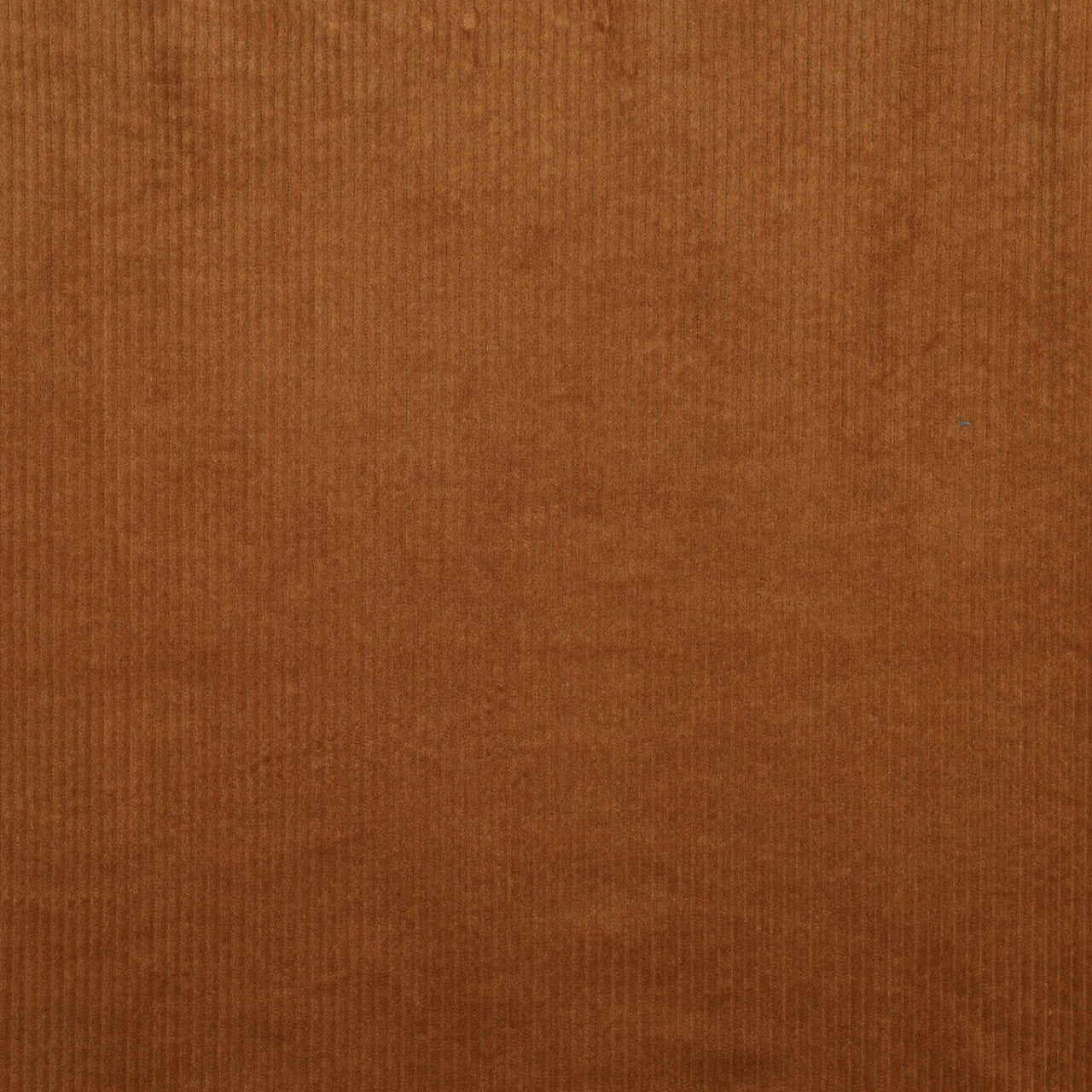 Midweight Corduroy Washed in Cognac