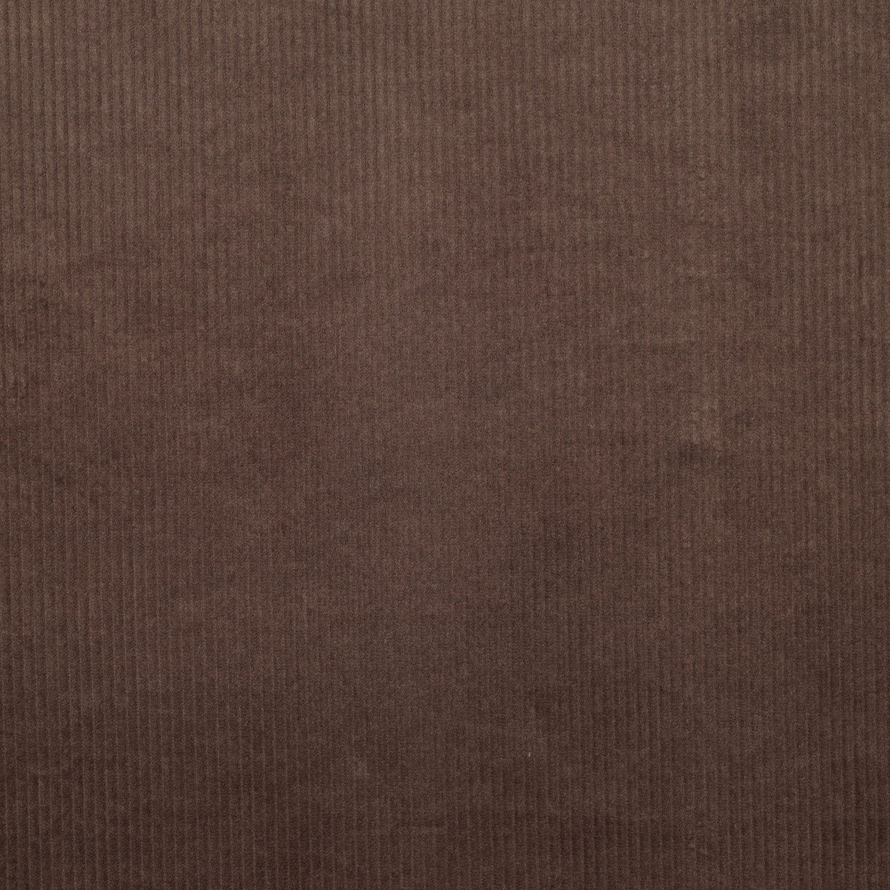 Midweight Corduroy Washed in Dark Brown