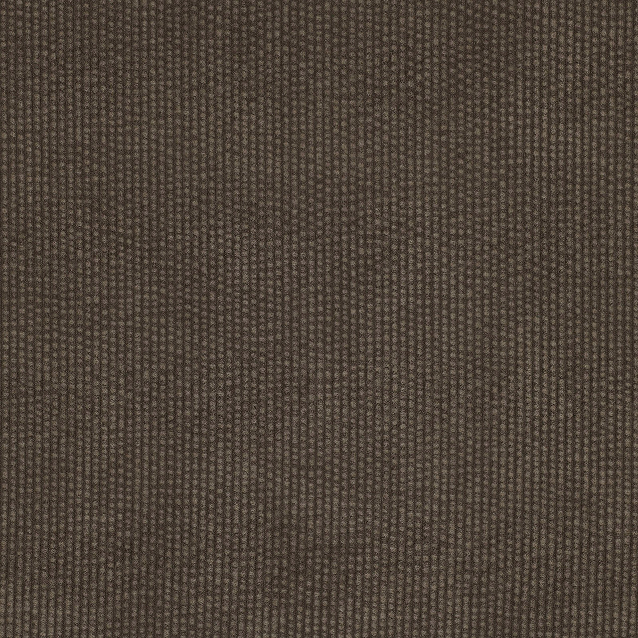 Midweight Bubble Corduroy Washed in Taupe