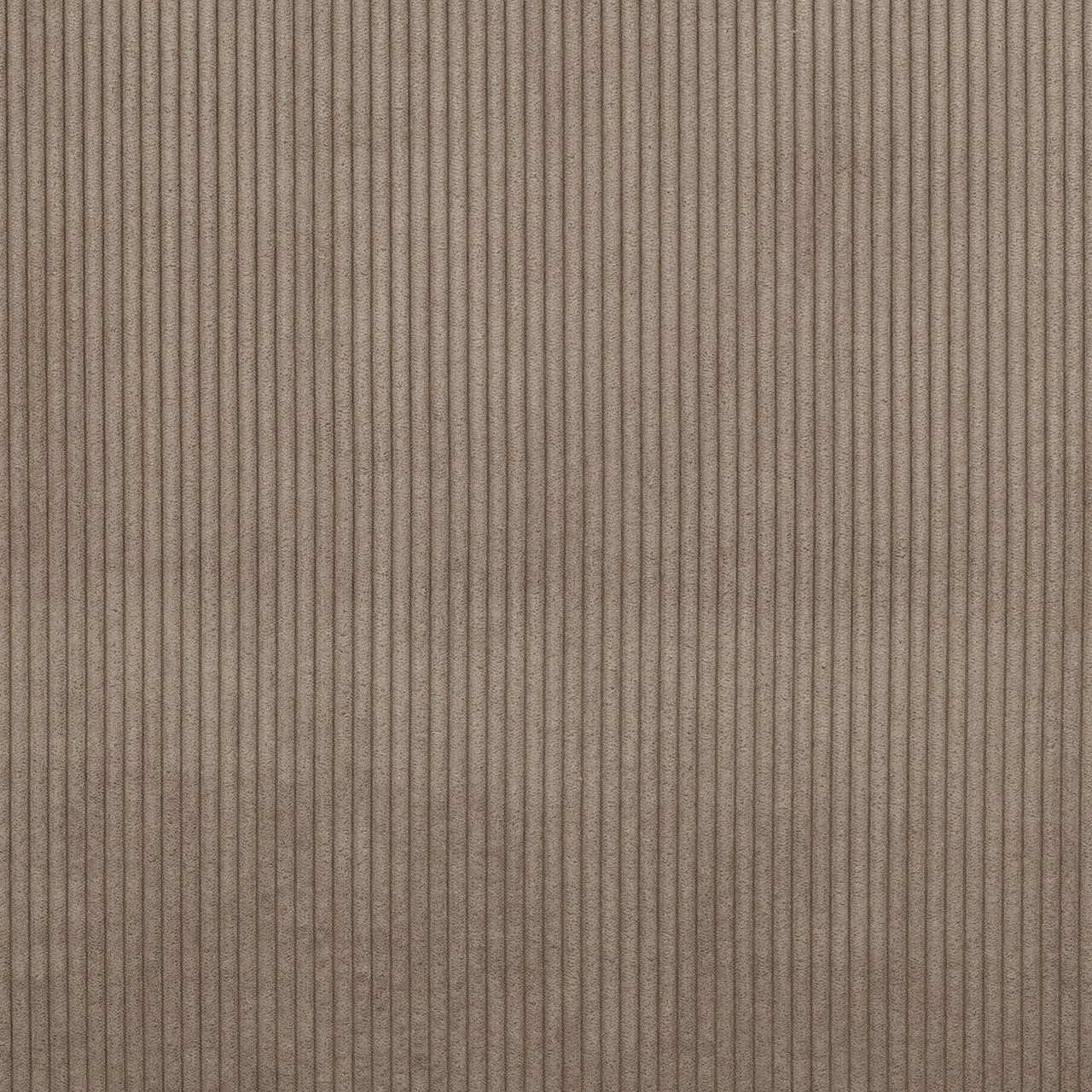 Midweight Corduroy in Taupe