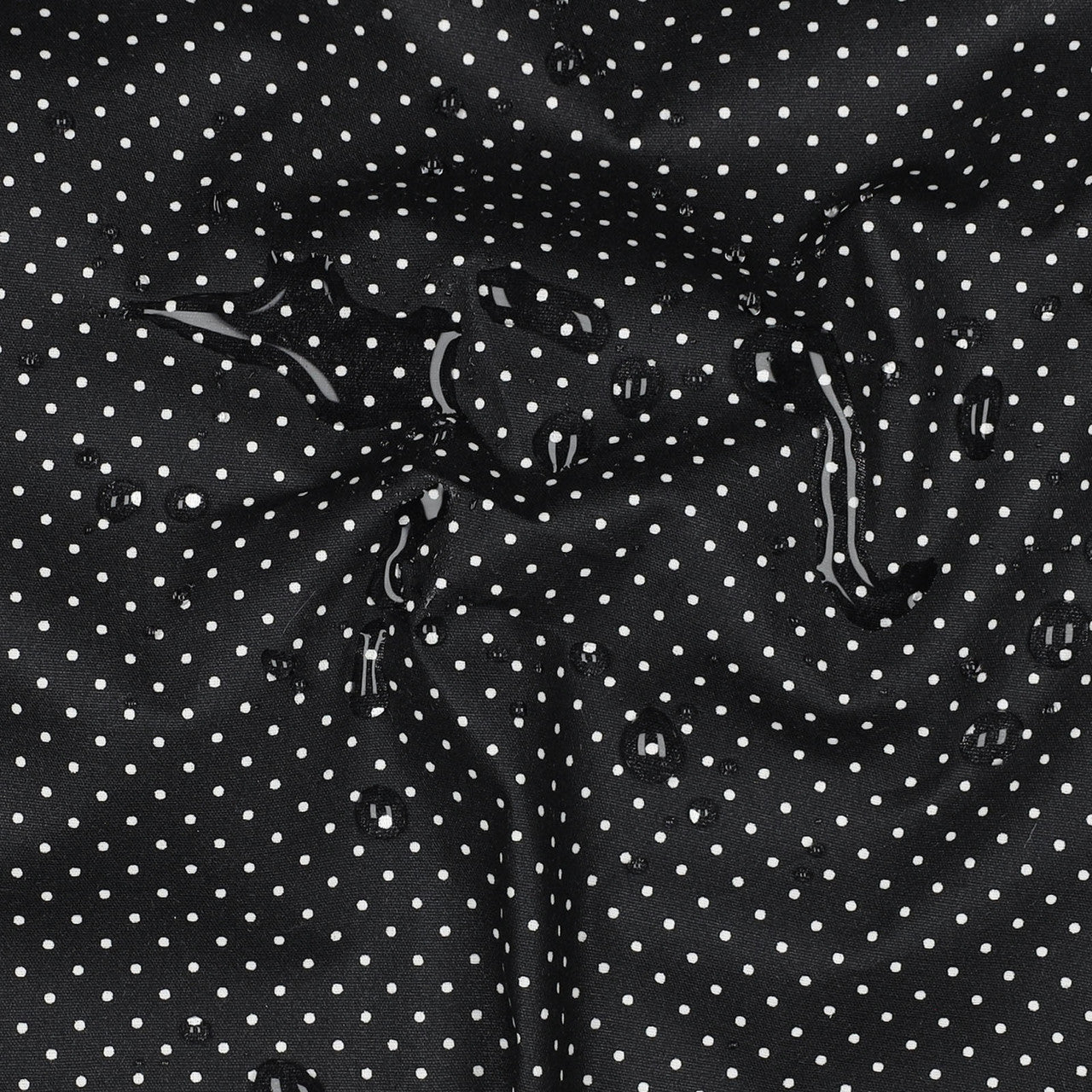 Lightweight Coated Cotton Petit Dots in Black