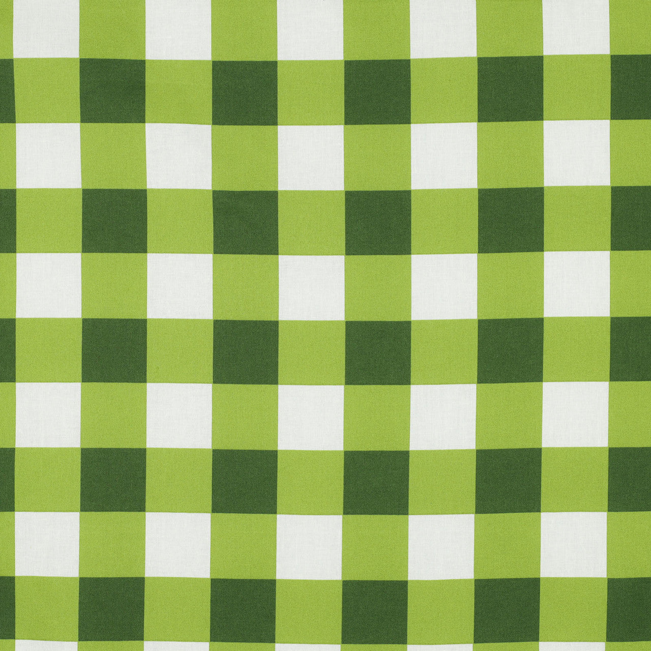 Lightweight Coated Cotton Checks in Dark Green