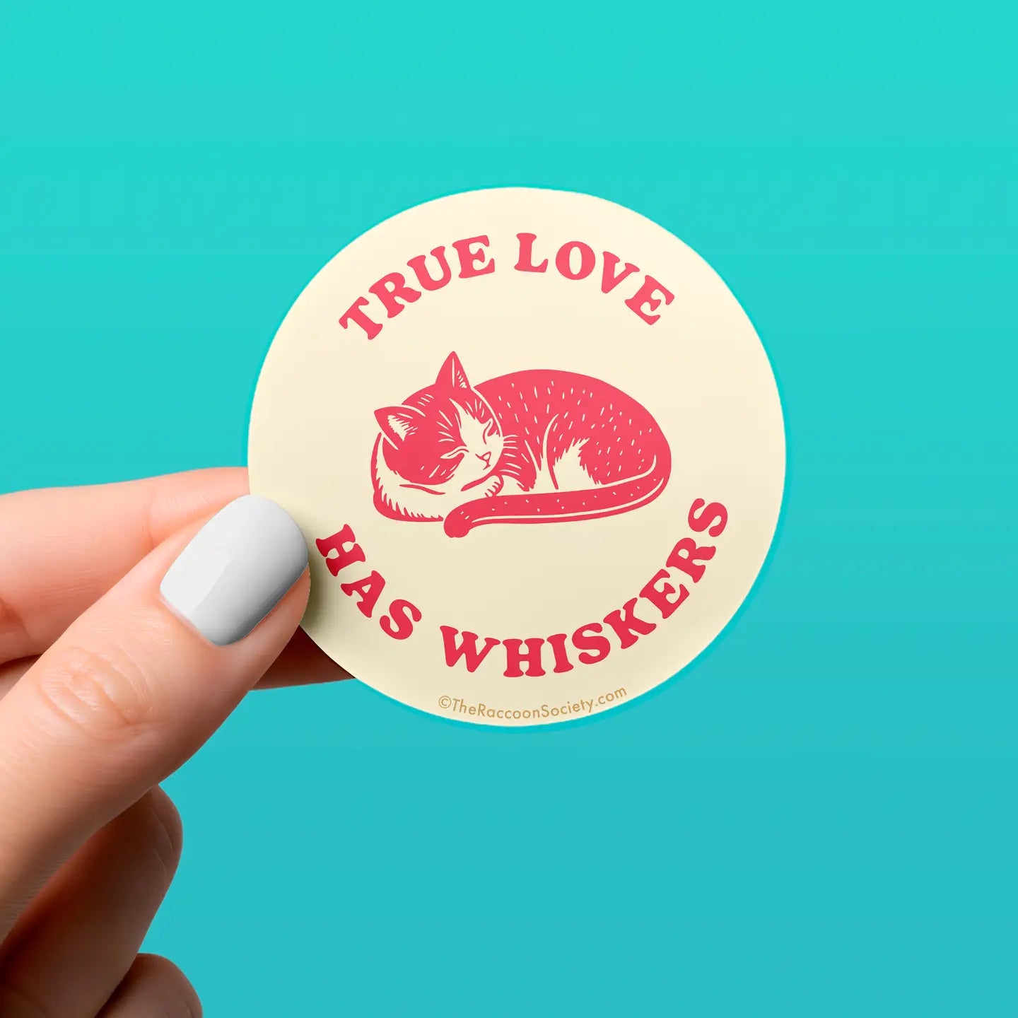 The Raccoon Society Vinyl Stickers