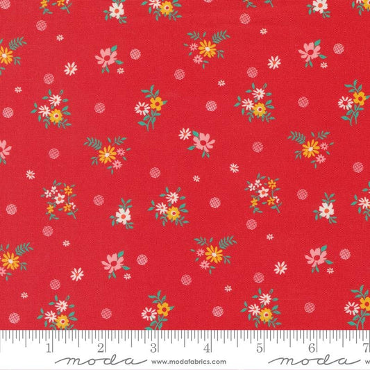 Julia: Bon Bons in Cherry