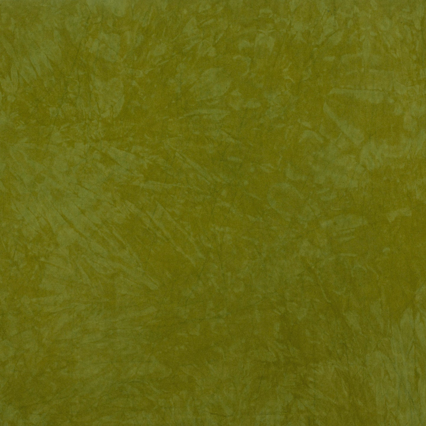 Desert Garden: Lizard
