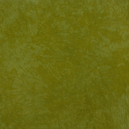 Desert Garden: Lizard